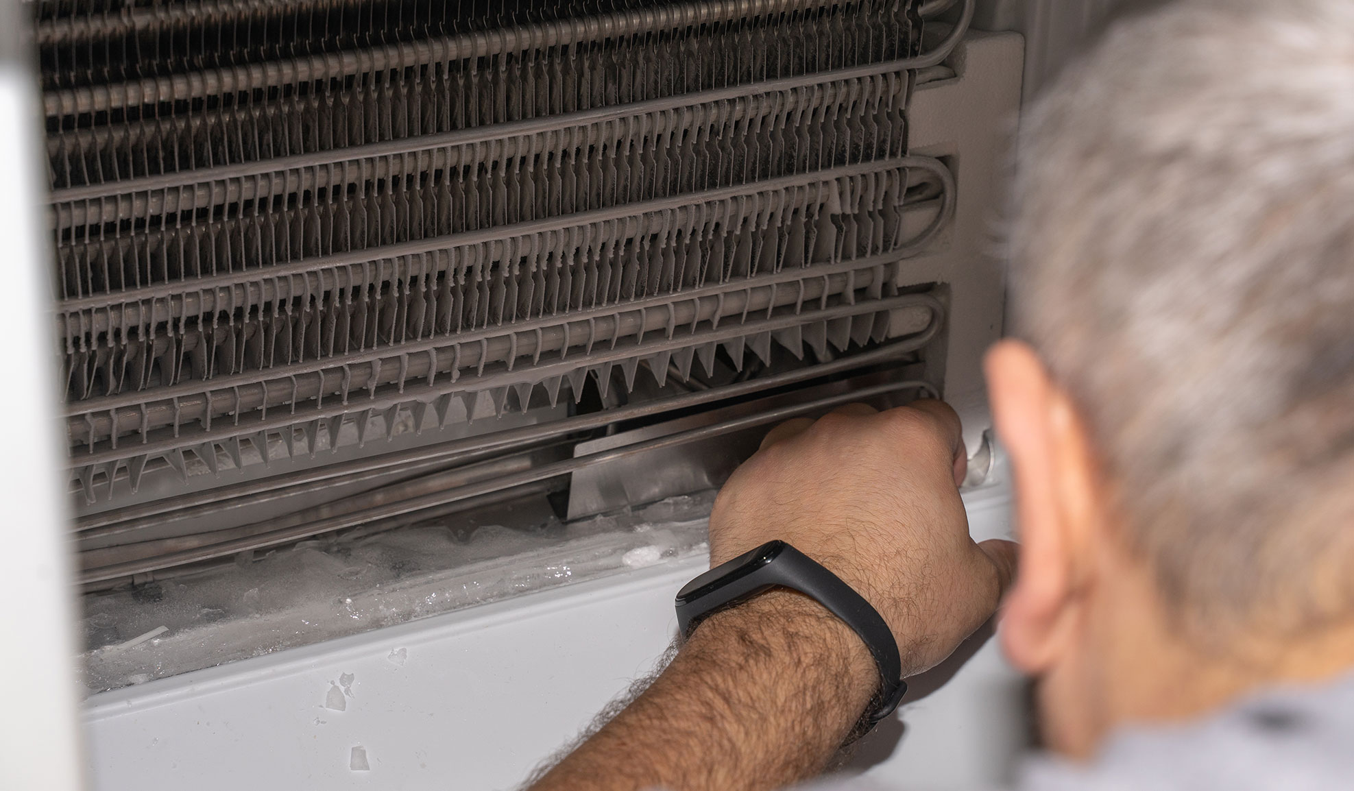 Commercial Refrigeration Repair Service DallasFort Worth
